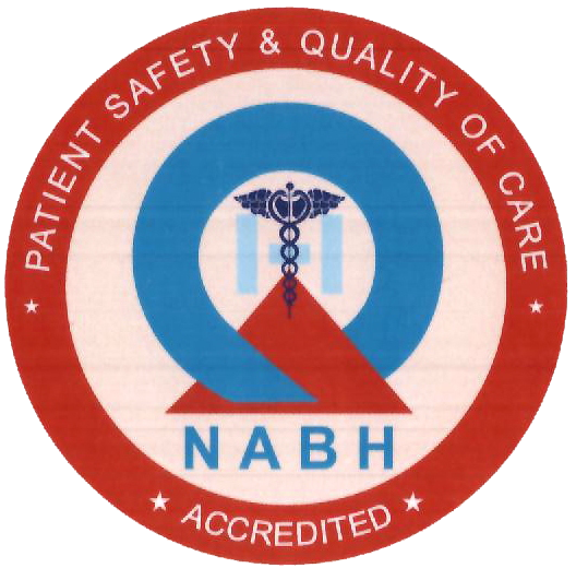 PDEA Logo
